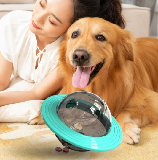Cooper™ Interactive Dog Toy with Treat Dispenser and 360° Movement