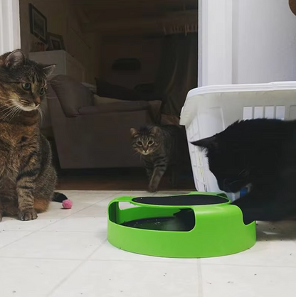 Whiskerhunt™ – Interactive Cat Toy with Moving Mouse