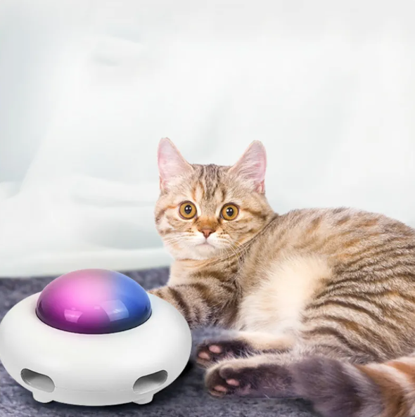 Chloe™ Interactive Cat Toy with LED Lights and Tail Feather