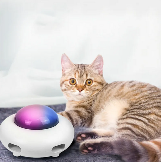 Chloe™ Interactive Cat Toy with LED Lights and Tail Feather