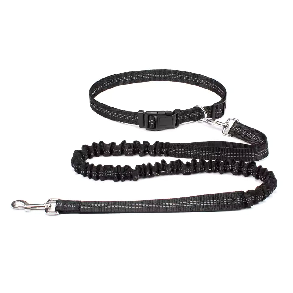 Aven Pro | Hands-free dog leash with waist belt & dual-bungee