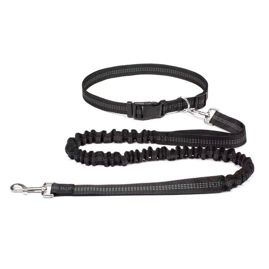 Aven Pro | Hands-free dog leash with waist belt & dual-bungee
