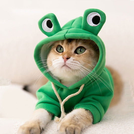 Frog Hoodie for Cats and Small Dogs with Soft Plush Fabric