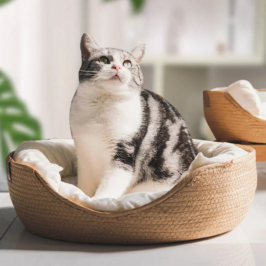 CozyNest™ – Four-Season Pet Bed