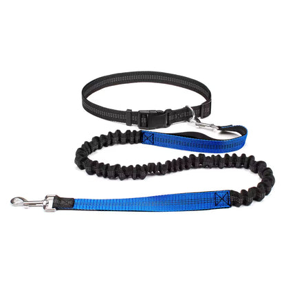 Aven Pro | Hands-free dog leash with waist belt & dual-bungee