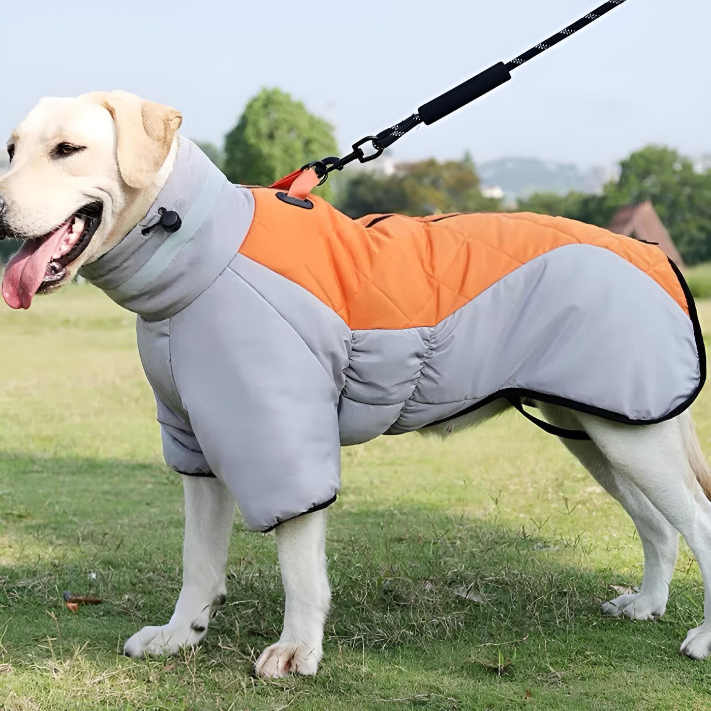 Waterproof Padded Dog Vest Jacket for Medium and Large Dogs