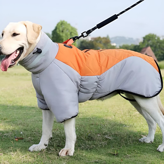 Waterproof Padded Dog Vest Jacket for Medium and Large Dogs