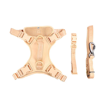 Daisy Adjustable Dog Harness & Leash Set