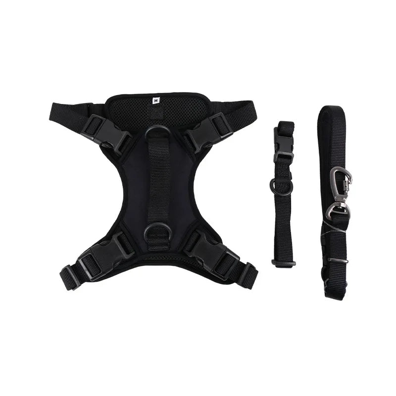 Daisy Adjustable Dog Harness & Leash Set