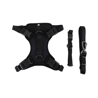 Daisy Adjustable Dog Harness & Leash Set