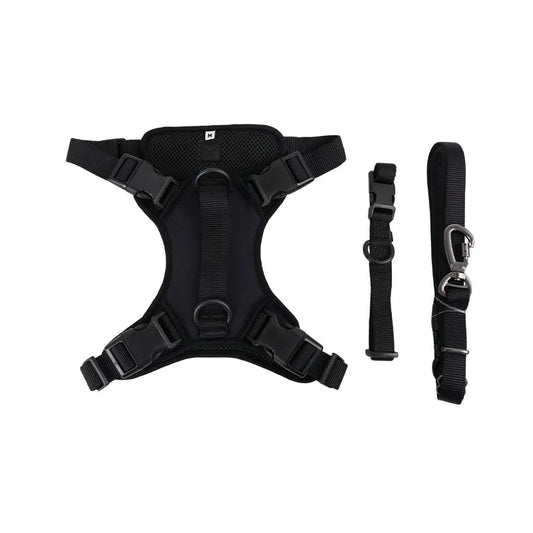 Daisy Adjustable Dog Harness & Leash Set
