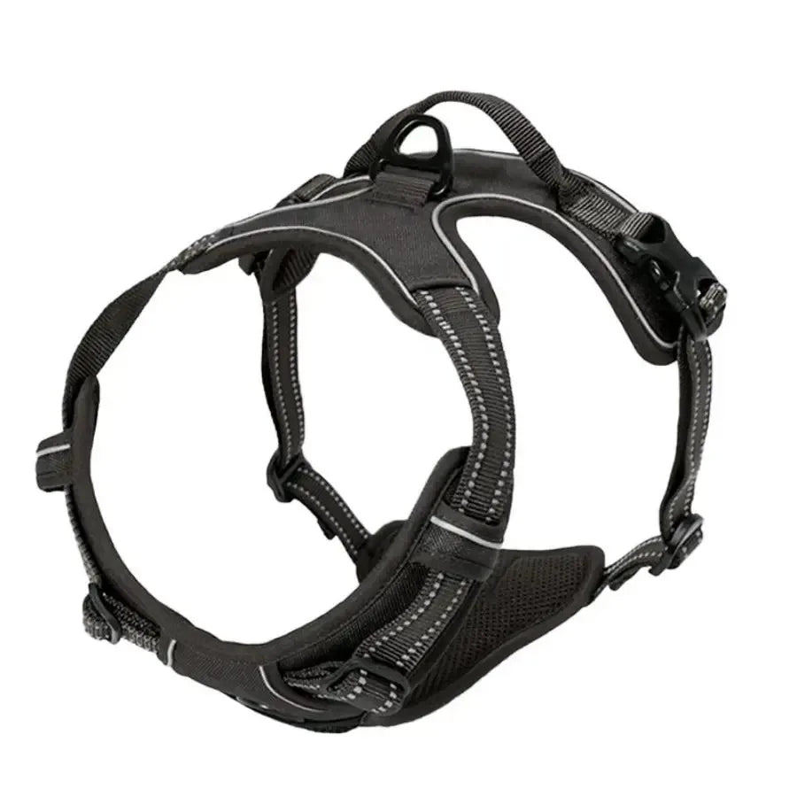 Cooper™ All-Season Dog Harness