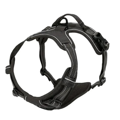 Cooper™ All-Season Dog Harness