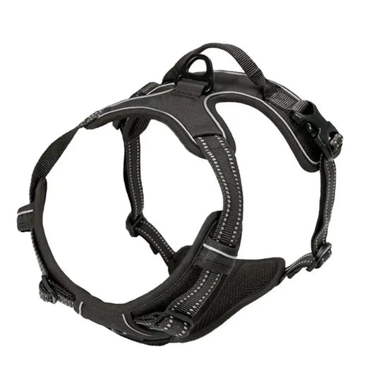 Cooper™ All-Season Dog Harness