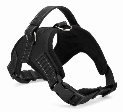 Bolt™ Quick-Release Adjustable Dog Harness