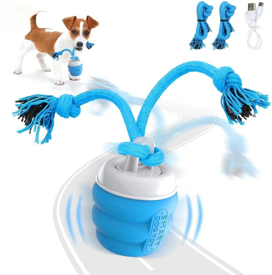 Buddy™ Interactive Smart Dog Ball