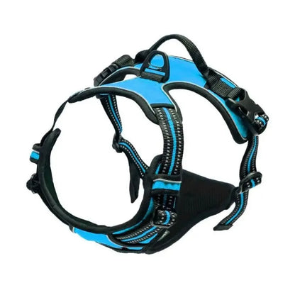 Cooper™ All-Season Dog Harness