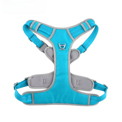 Nova Double-Layer Dog Harness