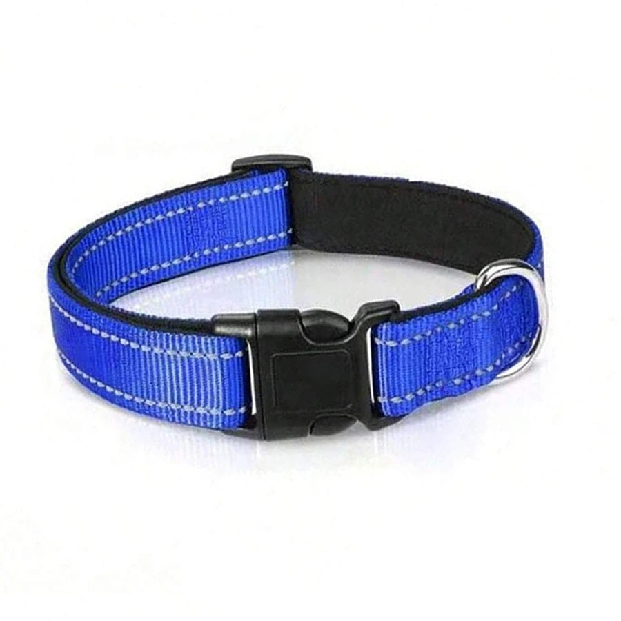 Leo | Reflective padded dog collar with breathable safety design