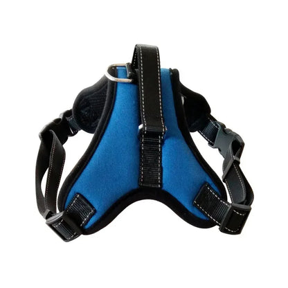 Bolt™ Quick-Release Adjustable Dog Harness