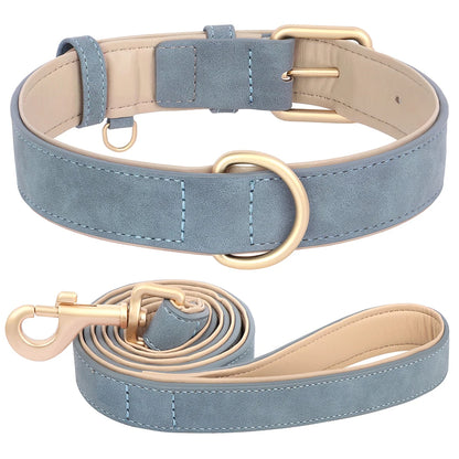 Daisy | Soft padded dog collar and leash set for small & medium dogs