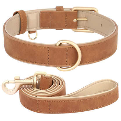 Daisy | Soft padded dog collar and leash set for small & medium dogs