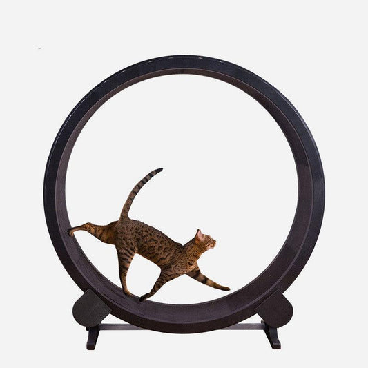 Minimalist Cat Running Wheel – Stylish Exercise Wheel for Active, Healthy Cats