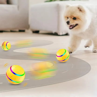 Buddy™ Active Rolling Ball for Pets
