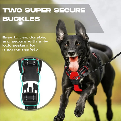 Cooper™ All-Season Dog Harness