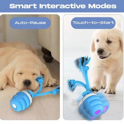 Buddy™ Interactive Smart Dog Ball