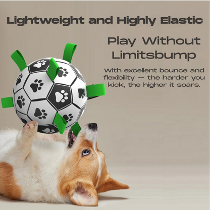 Baxter™ Dog Soccer Ball Pump Included