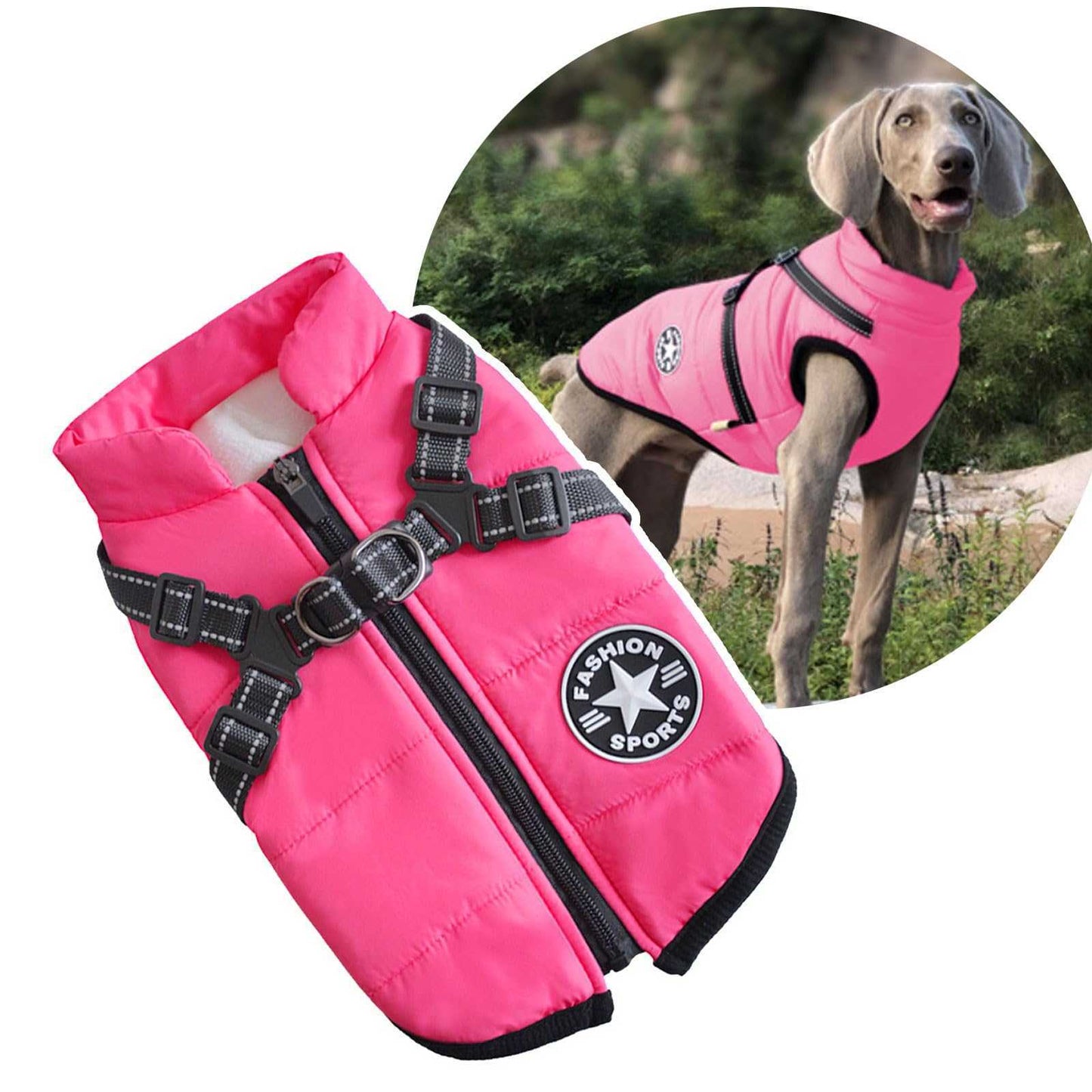 3-in-1 Dog Jacket with Built-In Harness and Waterproof Design