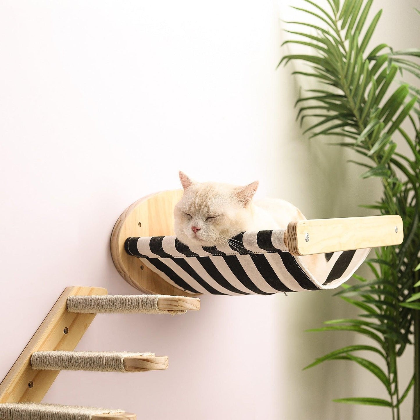Purrfect Pine Wood Cat Adventure Set – Cozy Hideaways, Climbing Fun & Relaxing Hammock