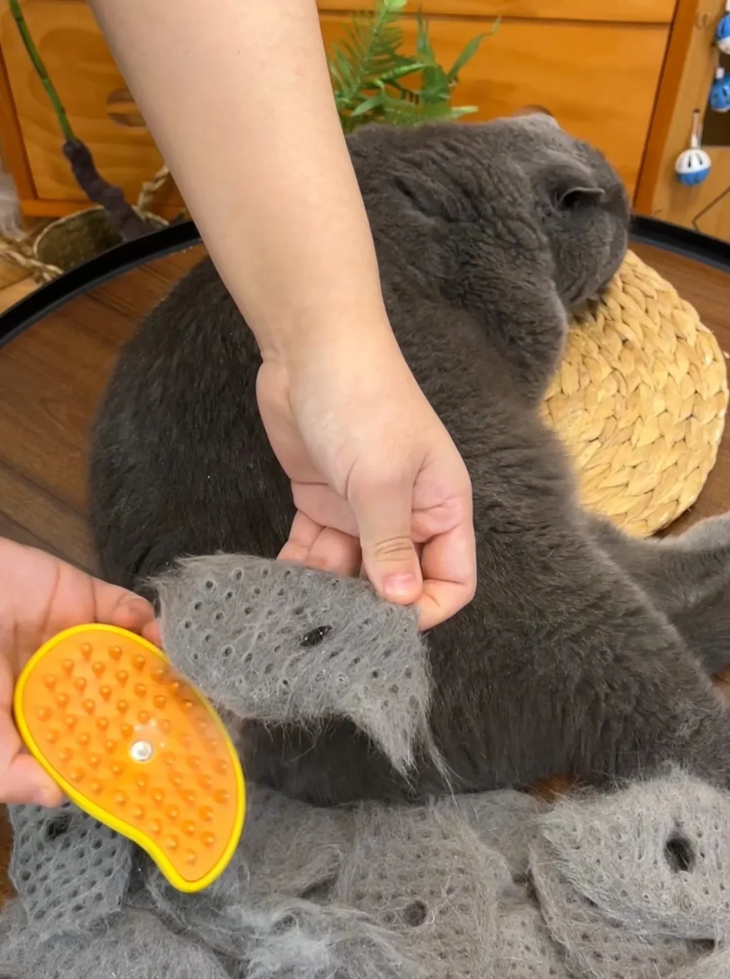 Molly™ Pet Grooming Brush with Nano Mist Technology