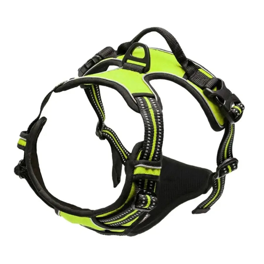 Cooper™ All-Season Dog Harness