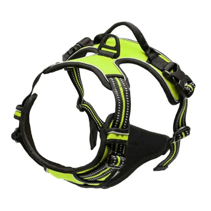 Cooper™ All-Season Dog Harness