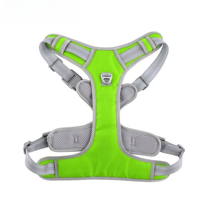 Nova Double-Layer Dog Harness
