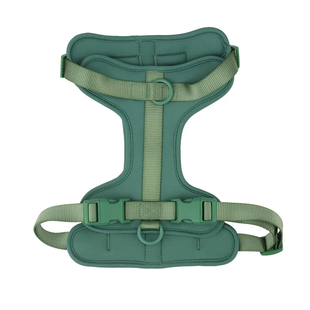 Bailey Lightweight Dog Harness Breathable adjustable vest strap