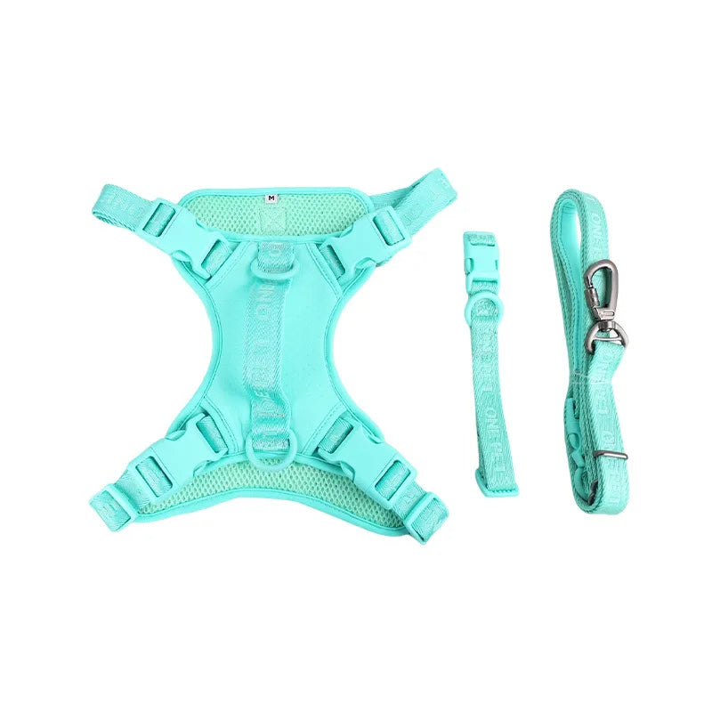 Daisy Adjustable Dog Harness & Leash Set