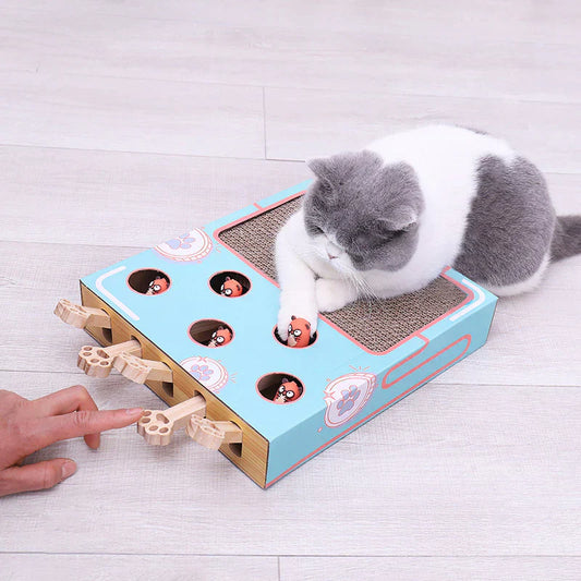 Milo™ 3-in-1 Cat Play Box with Scratcher, Paw Sliders & Peek-a-Boo Toys