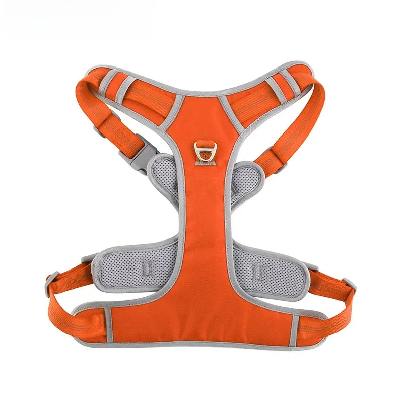 Nova Double-Layer Dog Harness