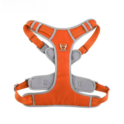 Nova Double-Layer Dog Harness