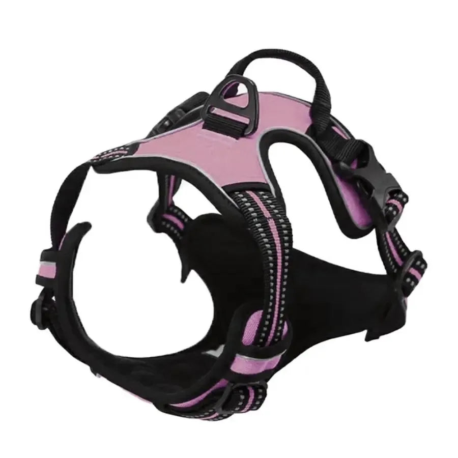 Cooper™ All-Season Dog Harness
