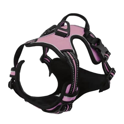 Cooper™ All-Season Dog Harness