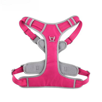 Nova Double-Layer Dog Harness
