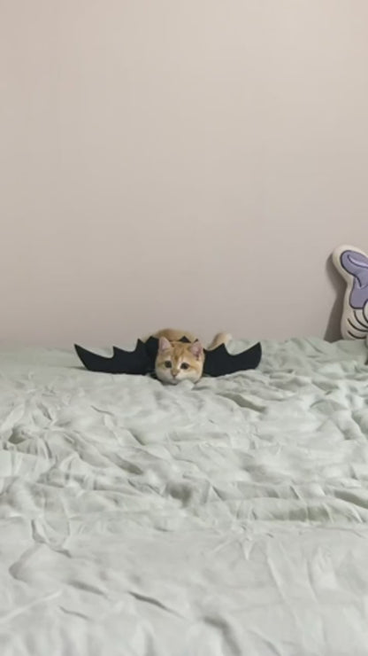 Halloween Bat Wings for Cats & Dogs – Adjustable Pet Costume for Parties & Photoshoots