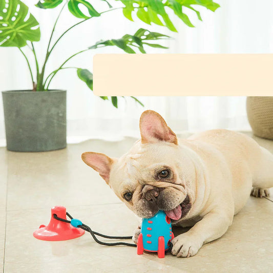Rocket™ Interactive Dog Toy with Chew Design and Dental Health Support