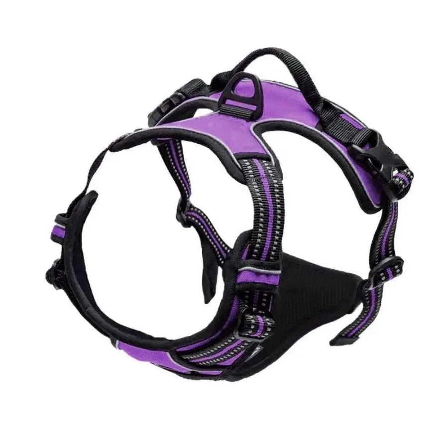 Cooper™ All-Season Dog Harness