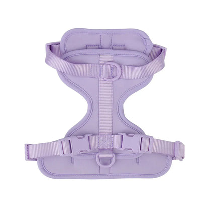 Bailey Lightweight Dog Harness Breathable adjustable vest strap