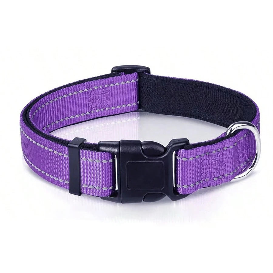 Leo | Reflective padded dog collar with breathable safety design